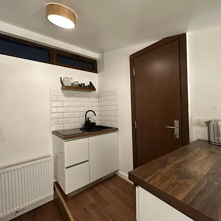 Apartment Cismigiu *