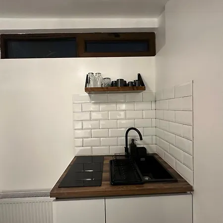 Apartment Cismigiu Bucharest