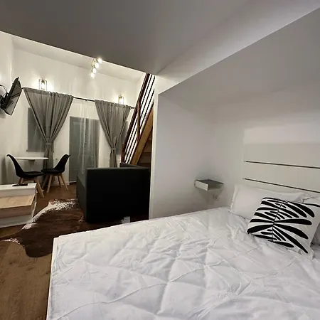 Apartment Cismigiu Bucharest