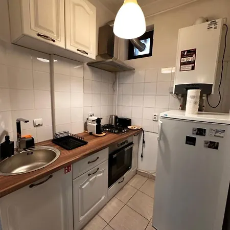 Apartment Cismigiu *